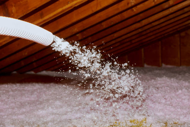 Best Types of Insulation in Ellicott City, MD