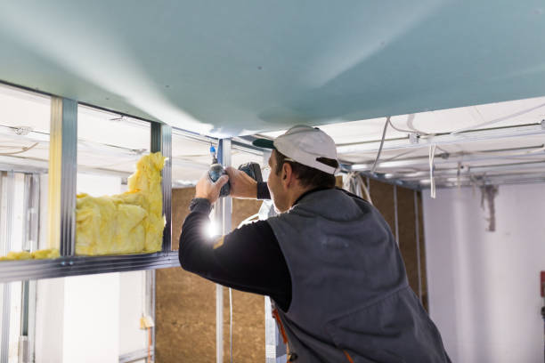 Best Insulation for Specific Applications in Ellicott City, MD