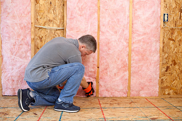 Best Types of Insulation in Ellicott City, MD
